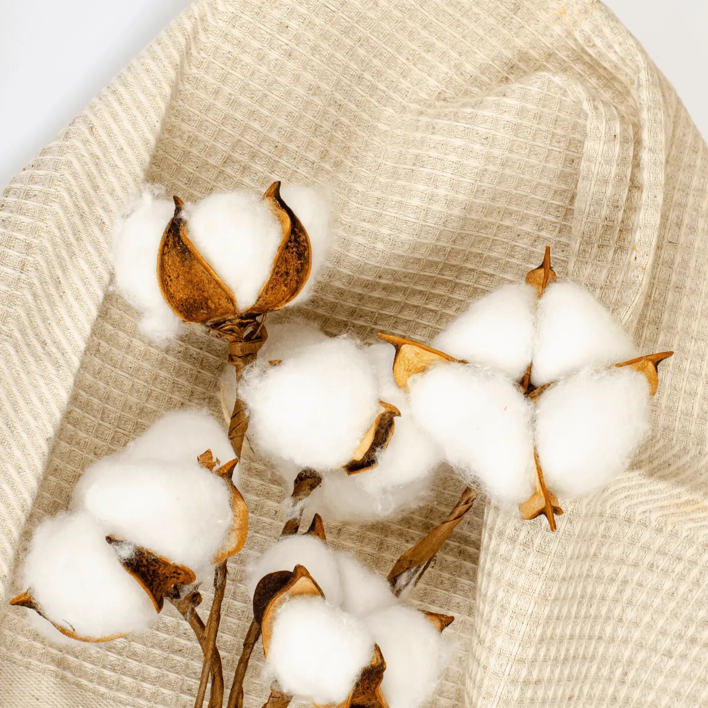 Nid d'abeille : un tissu structuré pour une texture unique - Verotex