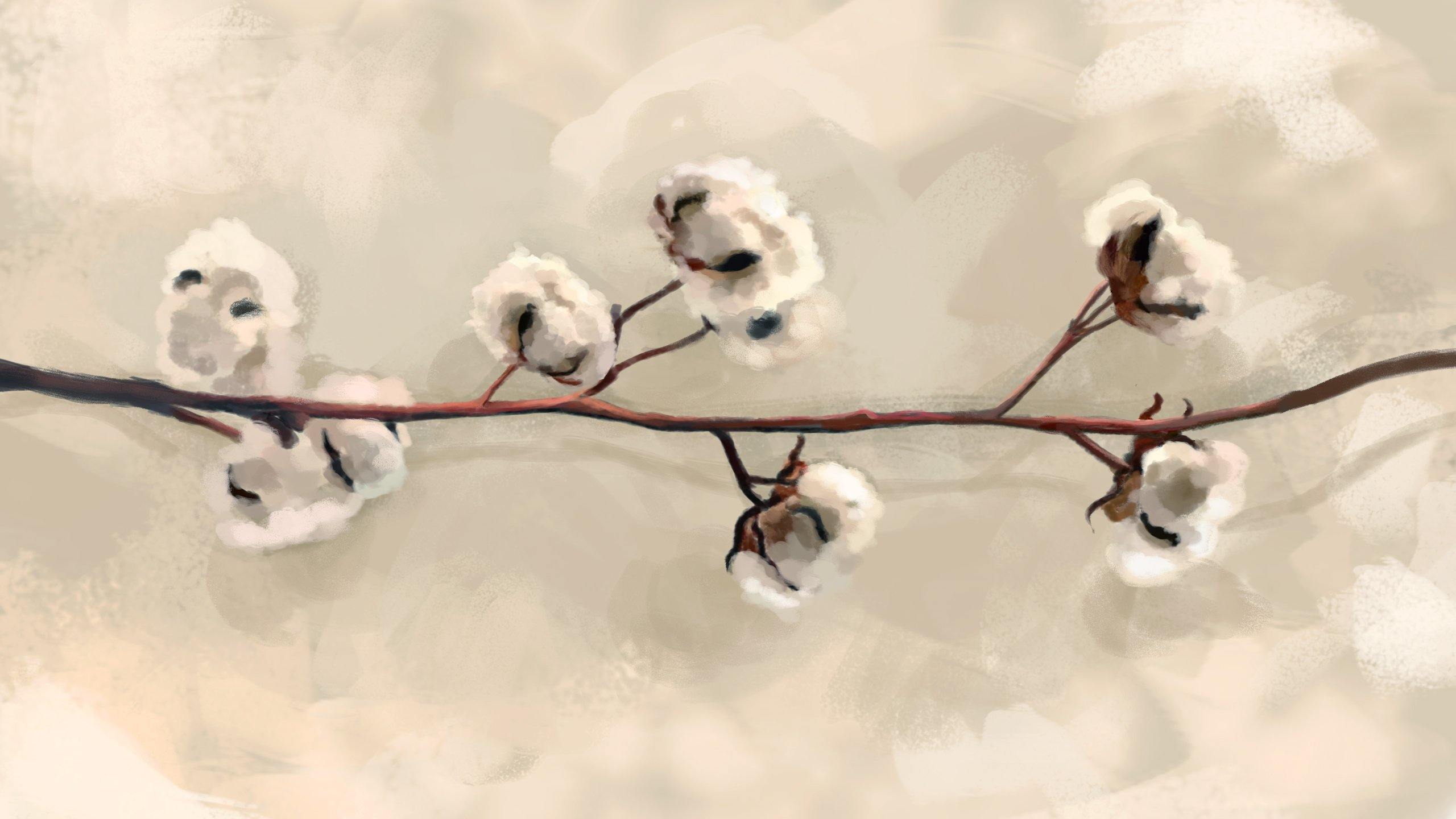 Tissus Coton
