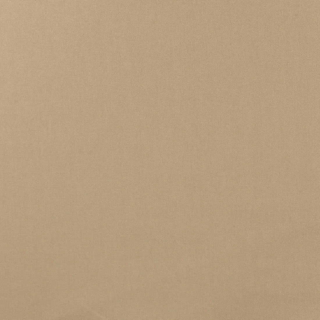 Tissu Canvas Beige