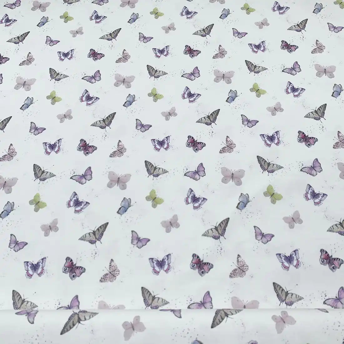 jersey_coton_papillon