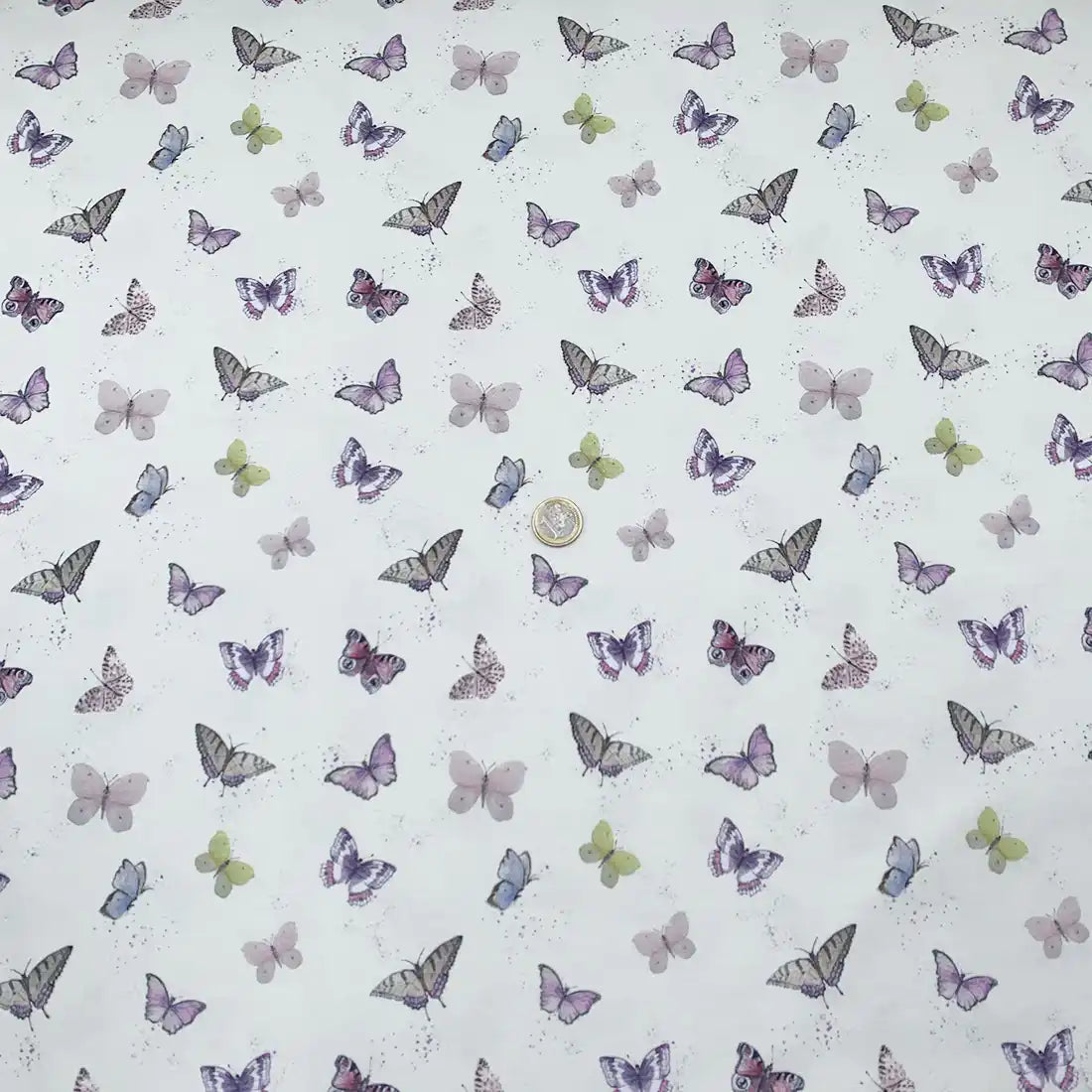 jersey_coton_papillon_1