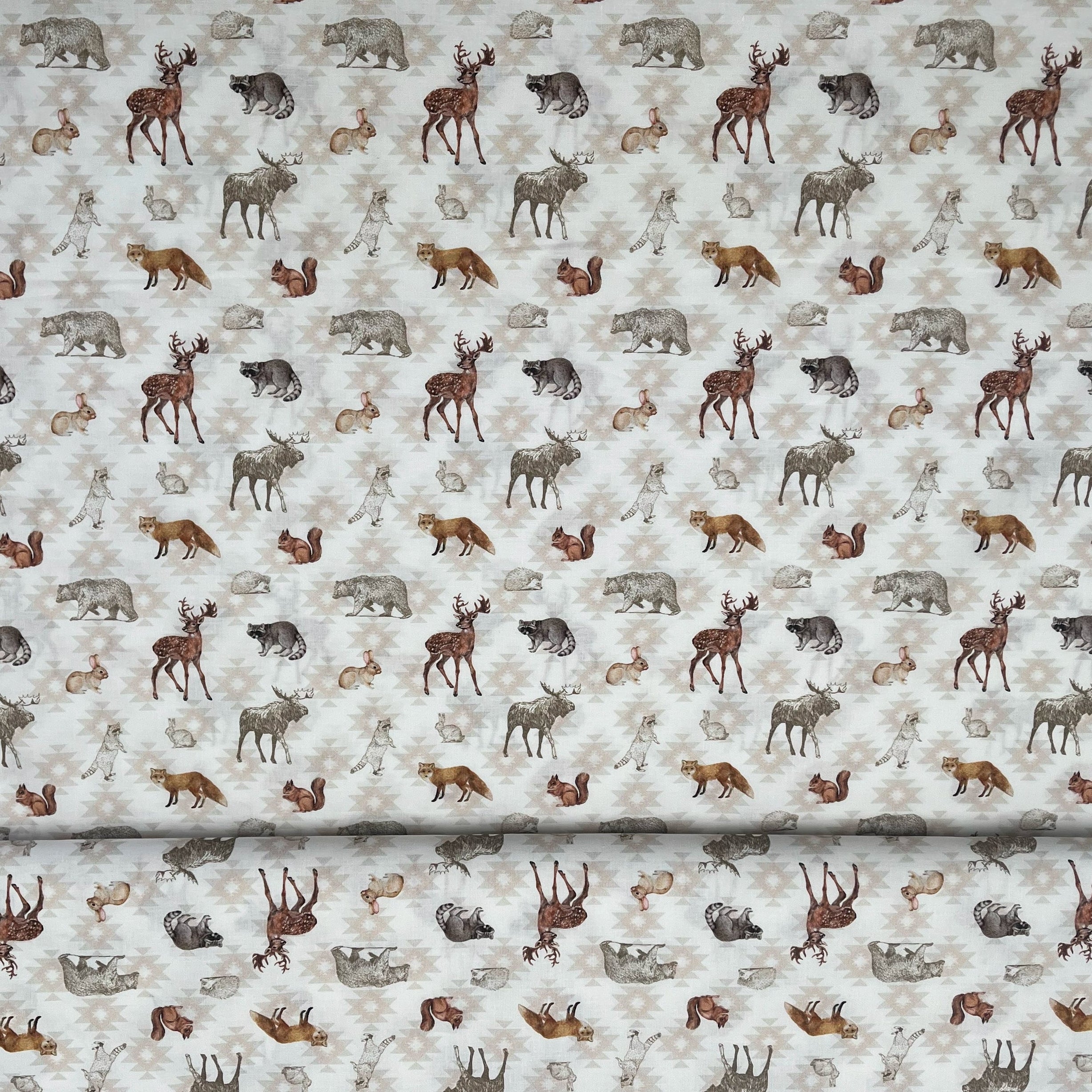 Tissu Popeline de Coton animaux de la forêt