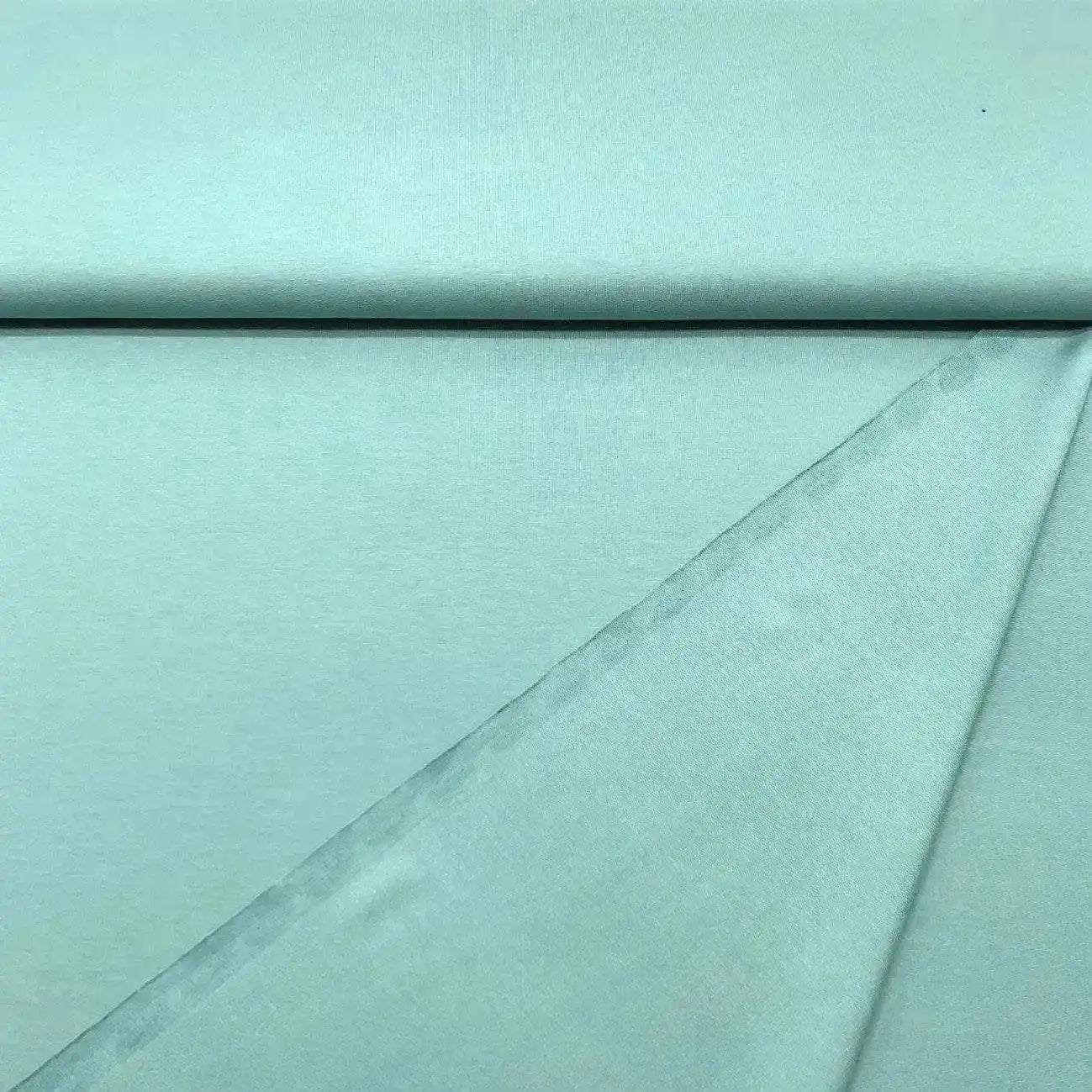 Tissu Bio French Terry Menthe