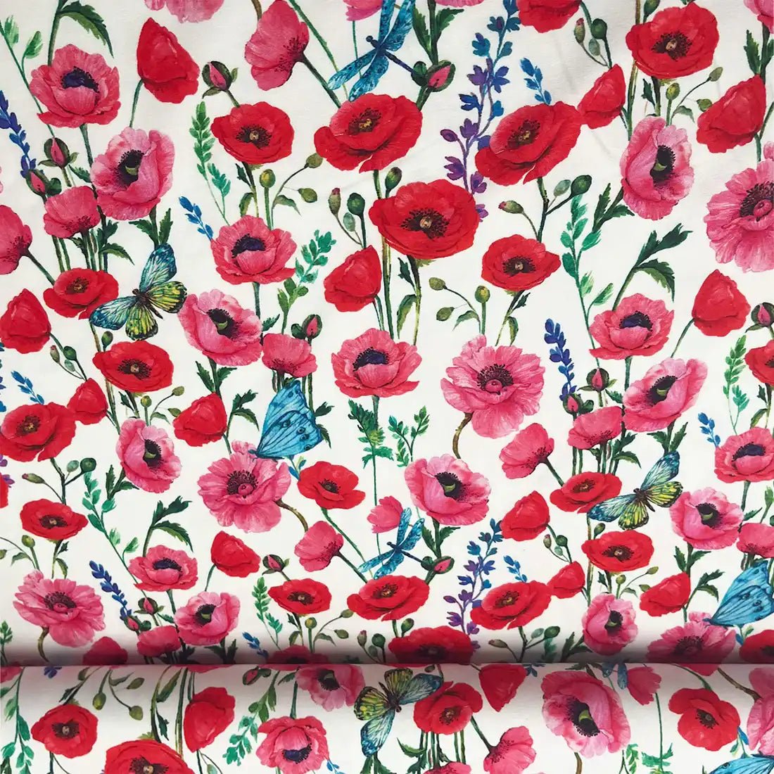 Tissu French Terry Coquelicots et Papillons Bleus – French Terry Sweat