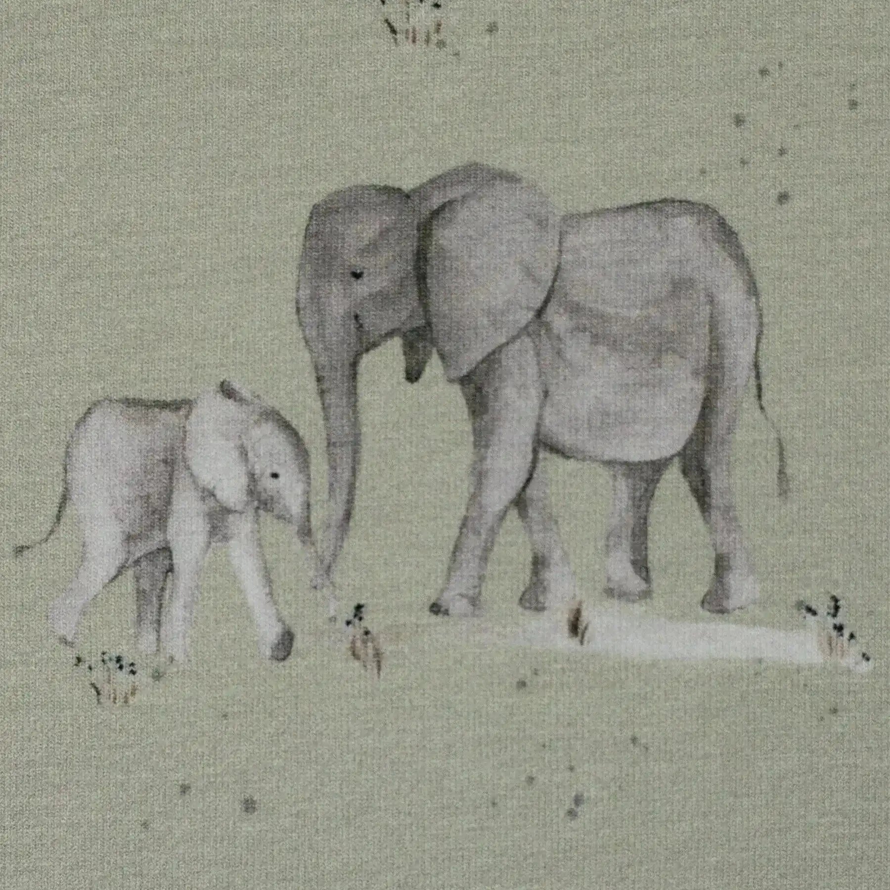 Tissu Jersey de coton Élèphants