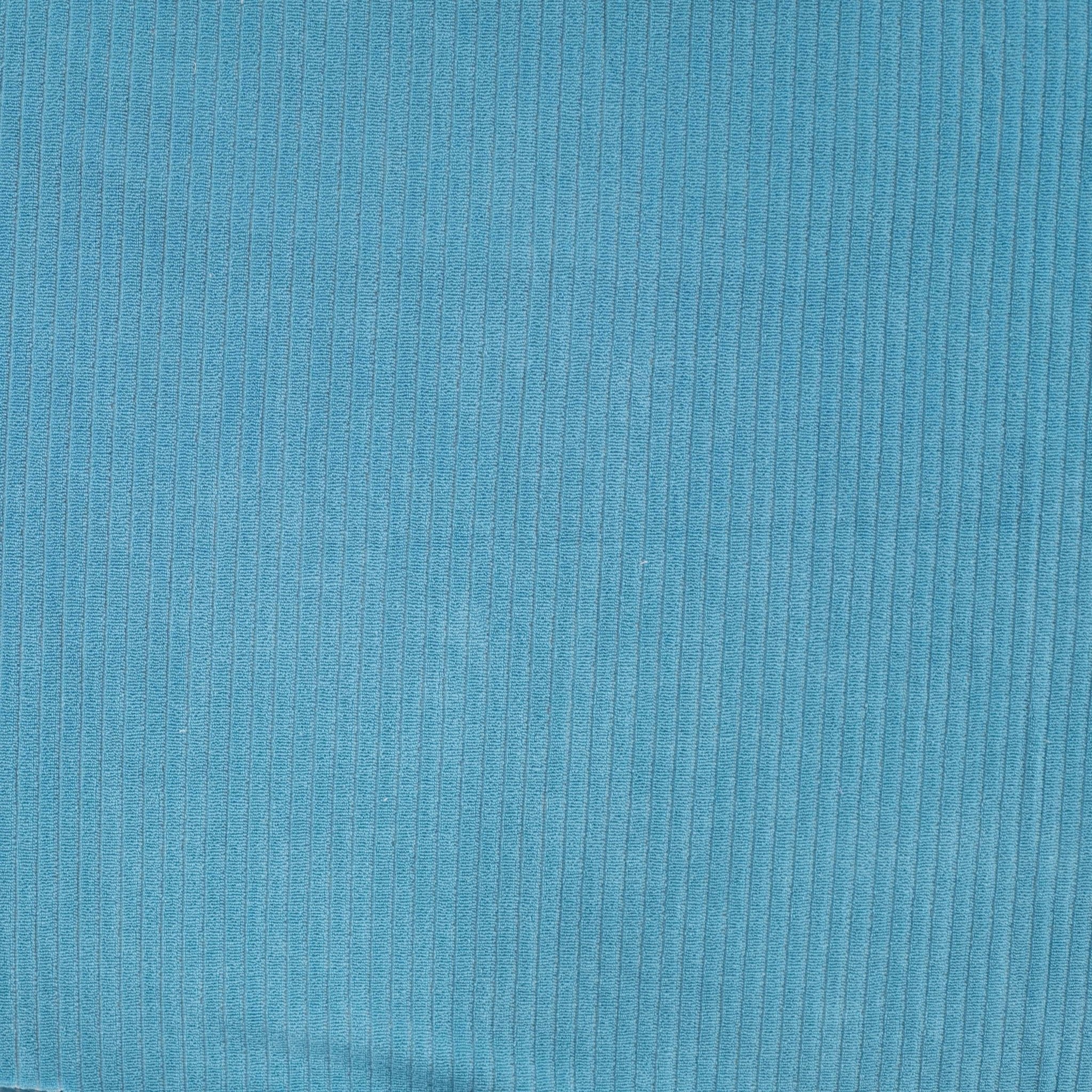 Tissu Jersey de Coton Eponge Bleu