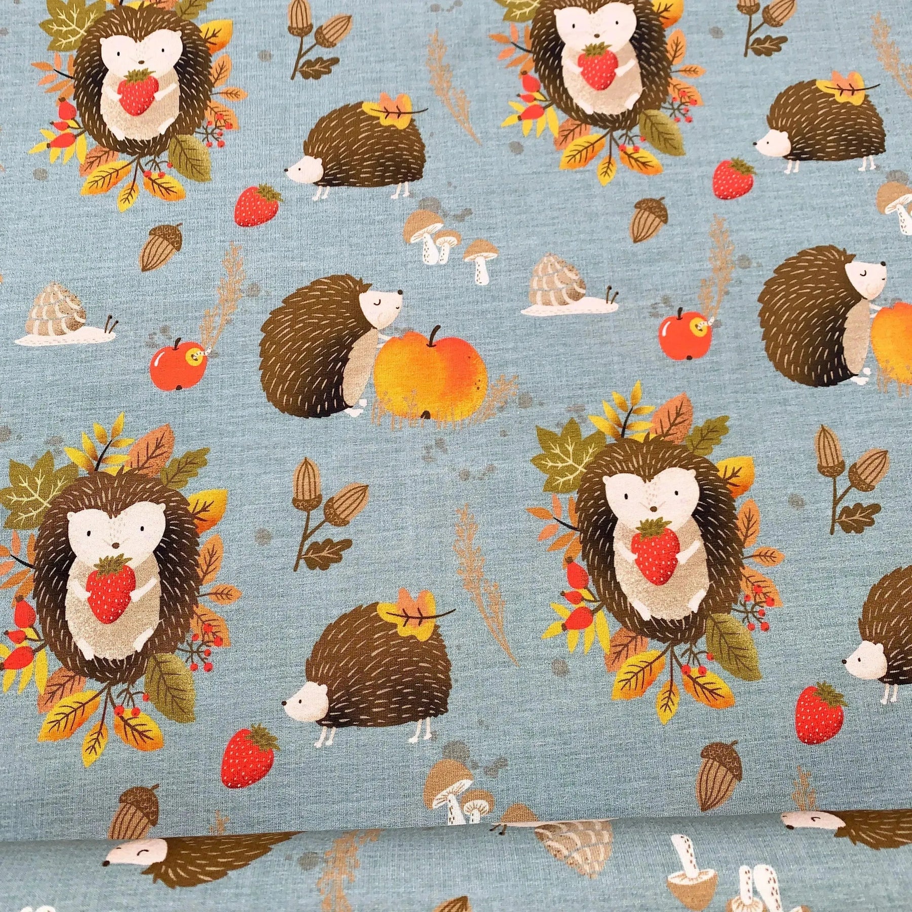 Tissu jersey de coton hérisson