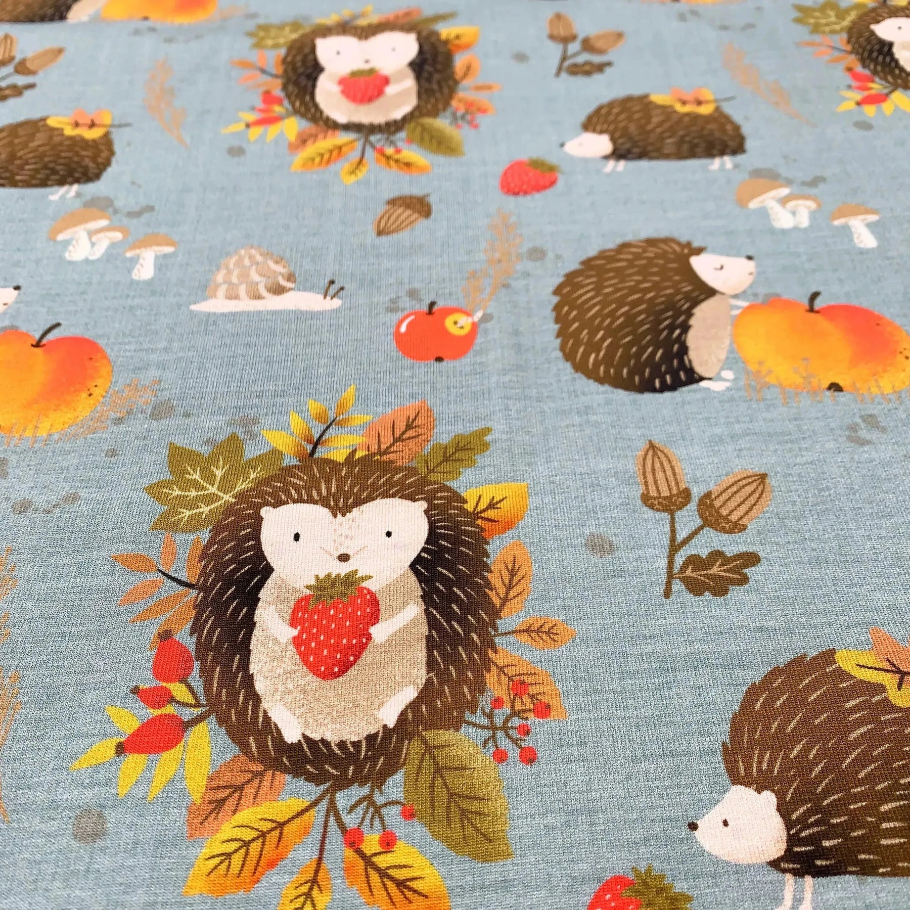 Tissu jersey de coton hérisson