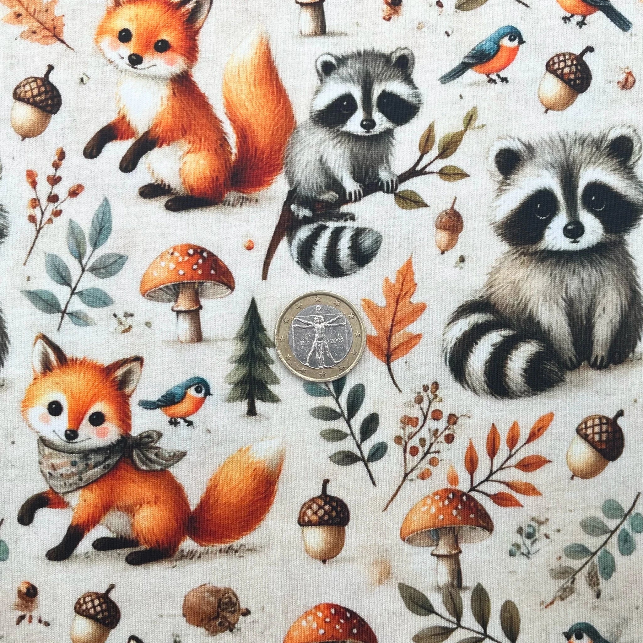 Tissu Jersey de Coton Renard et Raton laveur