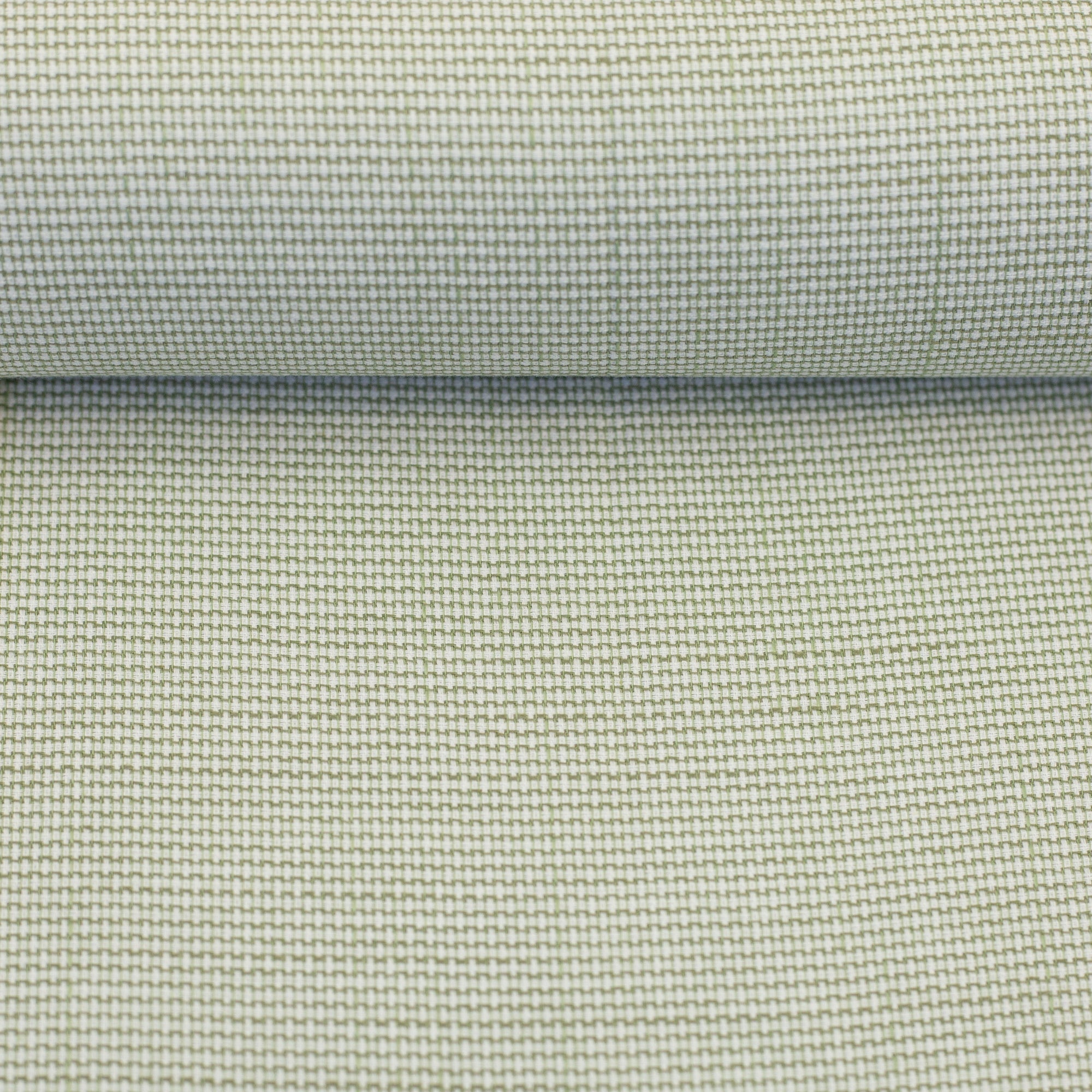 Tissu Pin point oxford vert