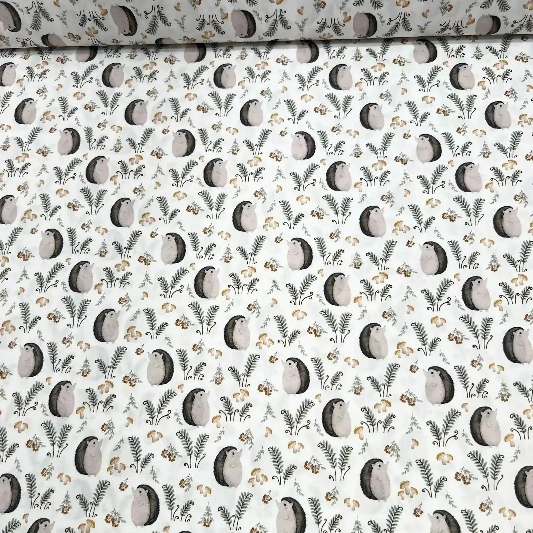 Tissu Popeline de coton hérisson