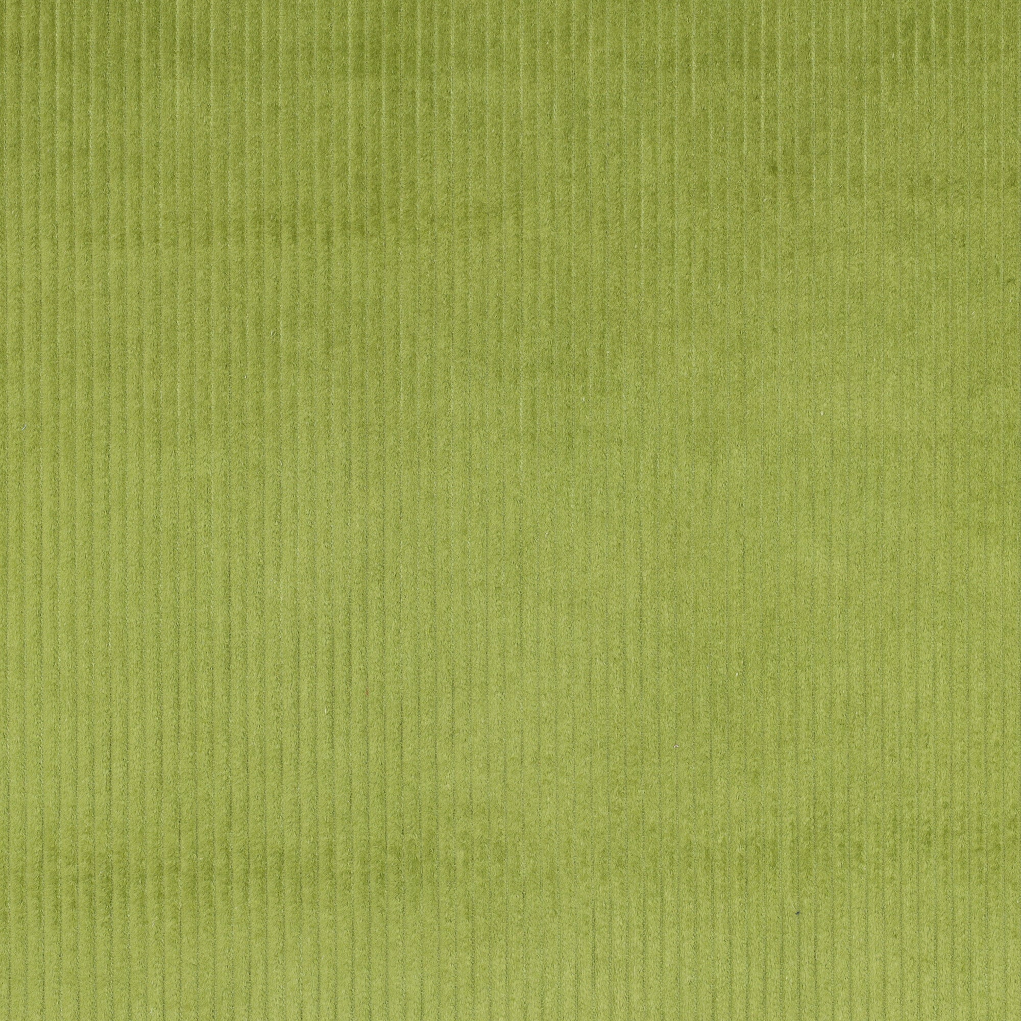 Tissu Velours Uni vert pomme