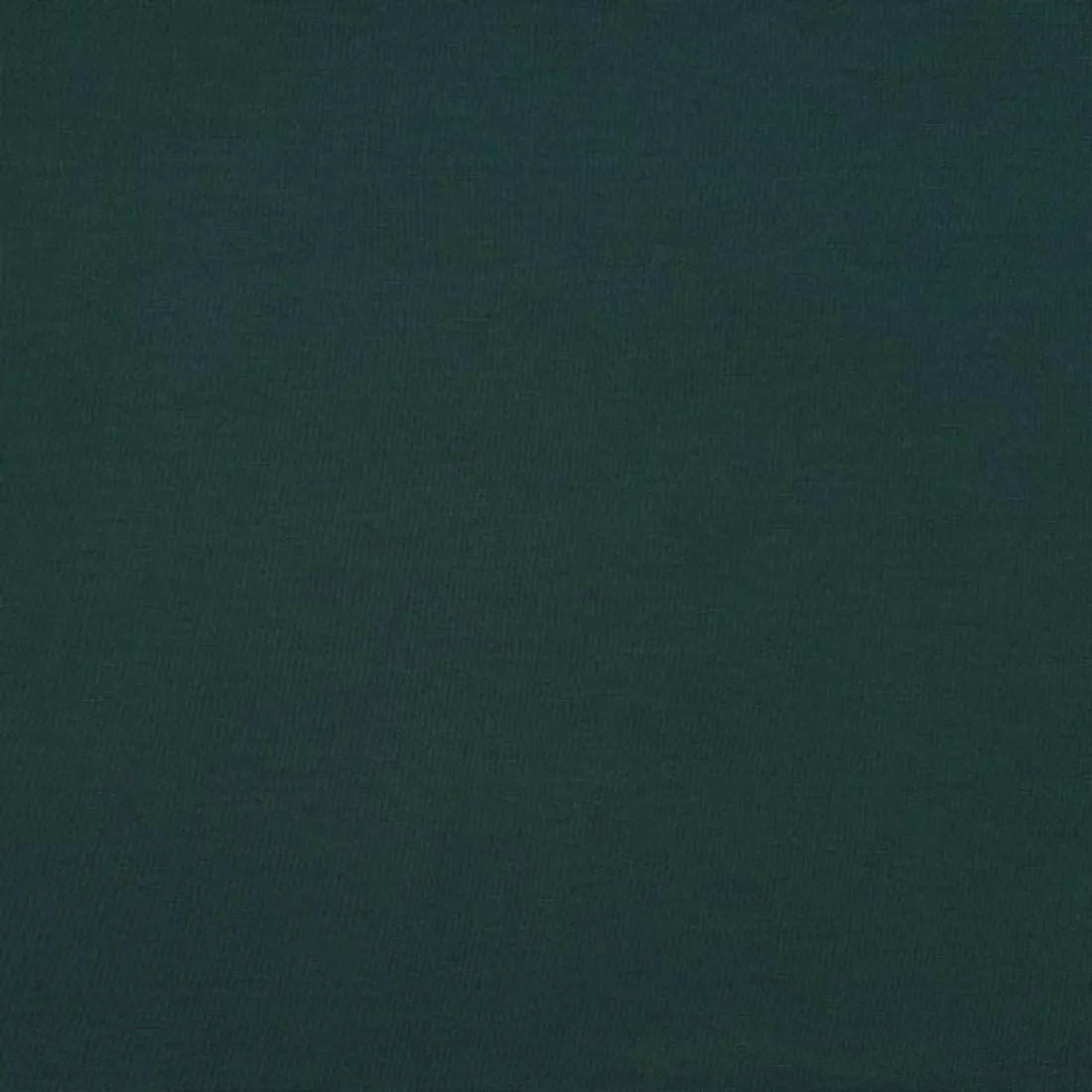 Tissus jersey punto vert sapin