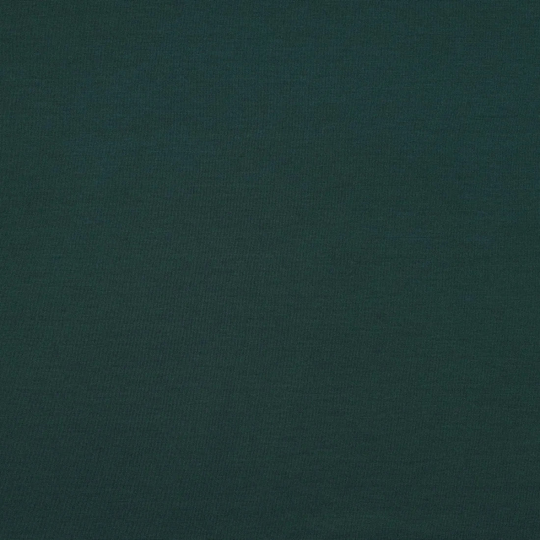 Tissus jersey punto vert sapin