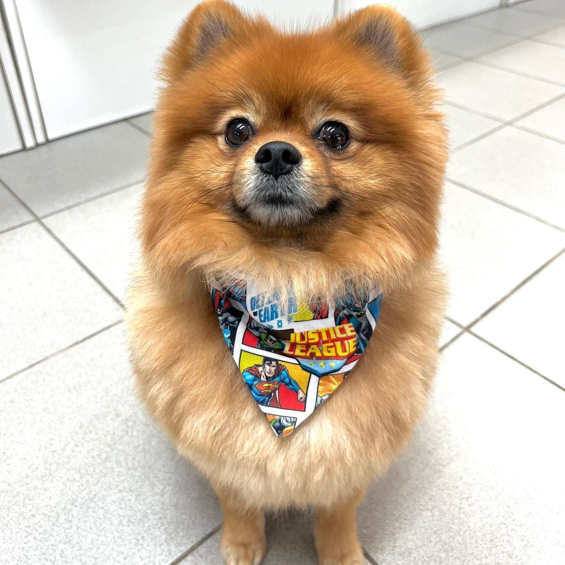 Tuto : Coudre un bandana pour son chien - Verotex