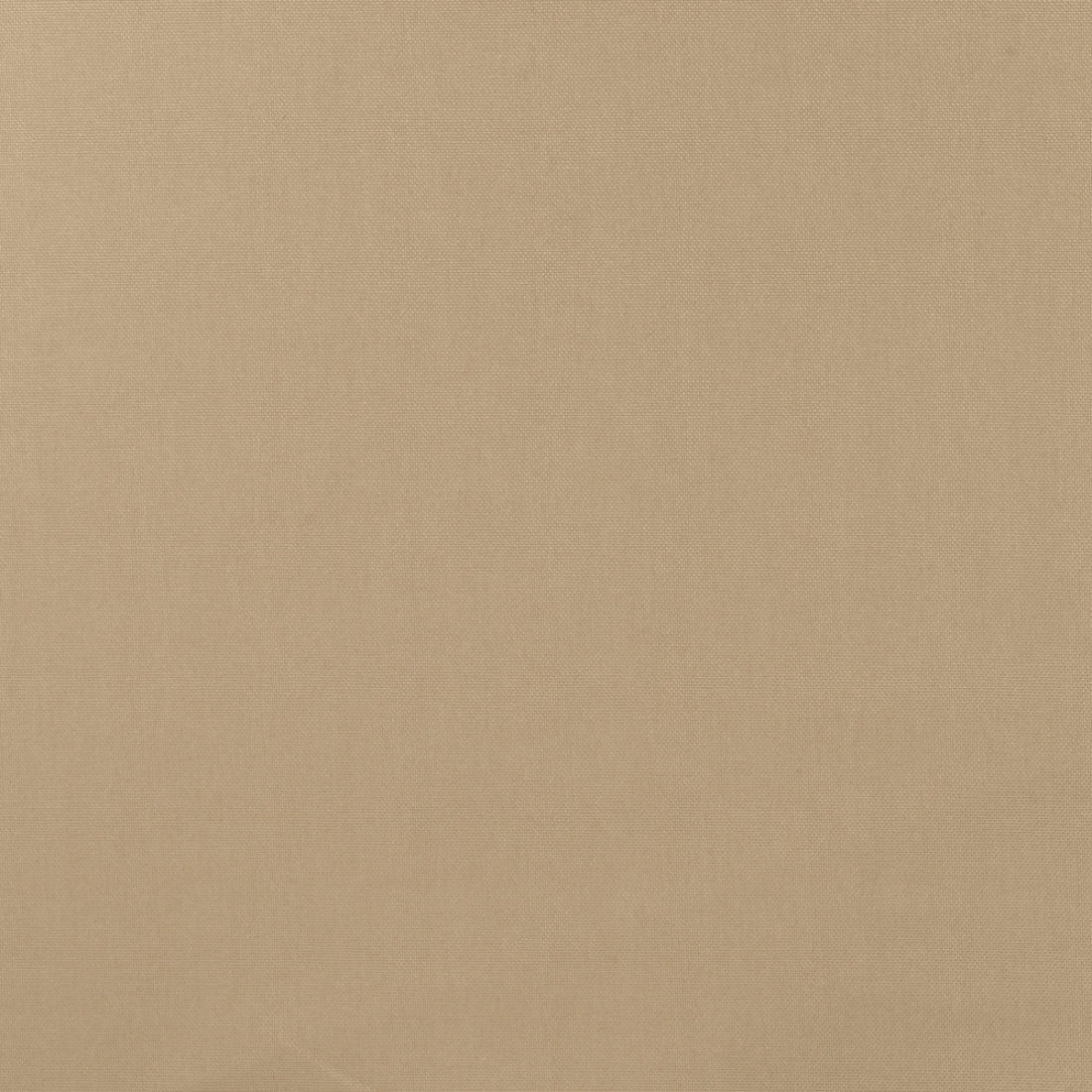 Tissu Canvas Beige