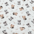 flanelle Ratons laveurs et renards