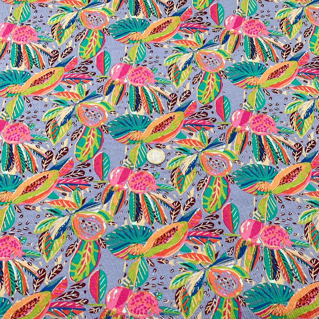 jersey_coton_fruit_multicolore_2