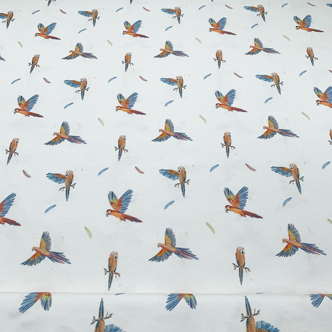 jersey_coton_oiseau_multicolore