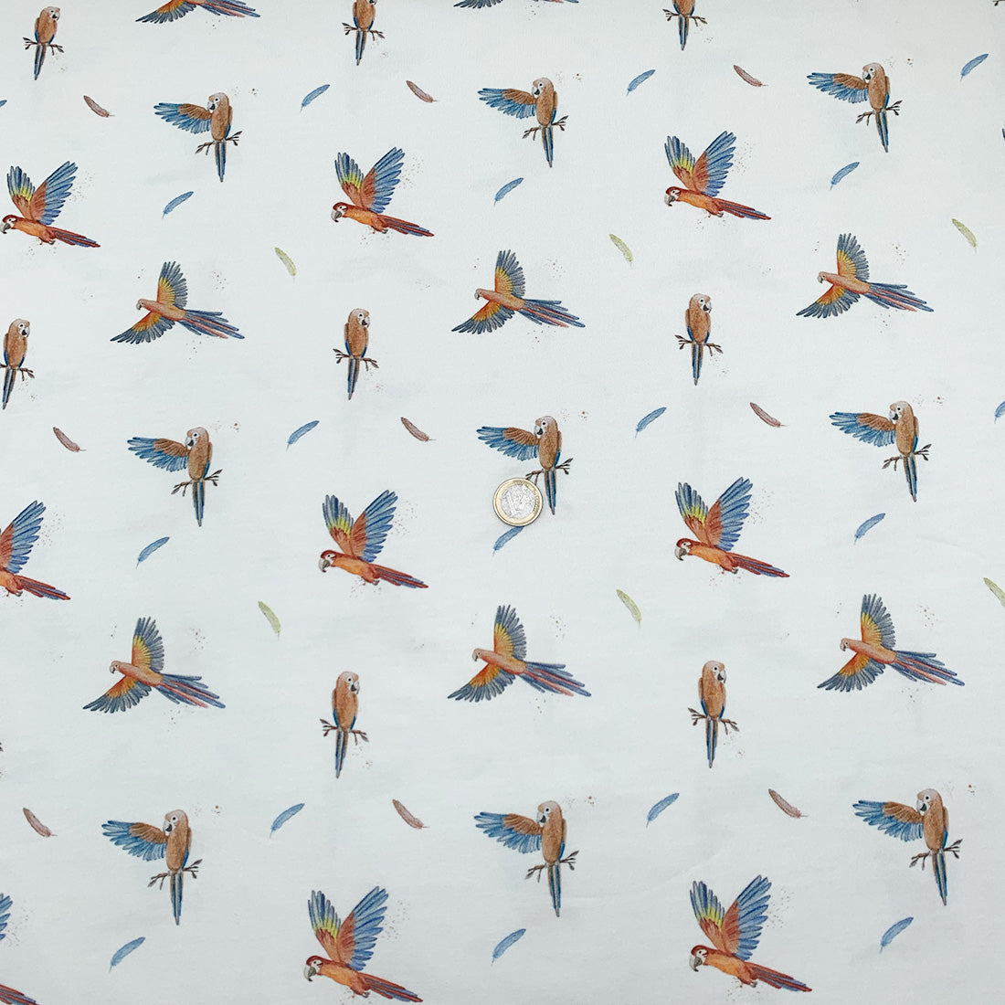 jersey_coton_oiseau_multicolore_1