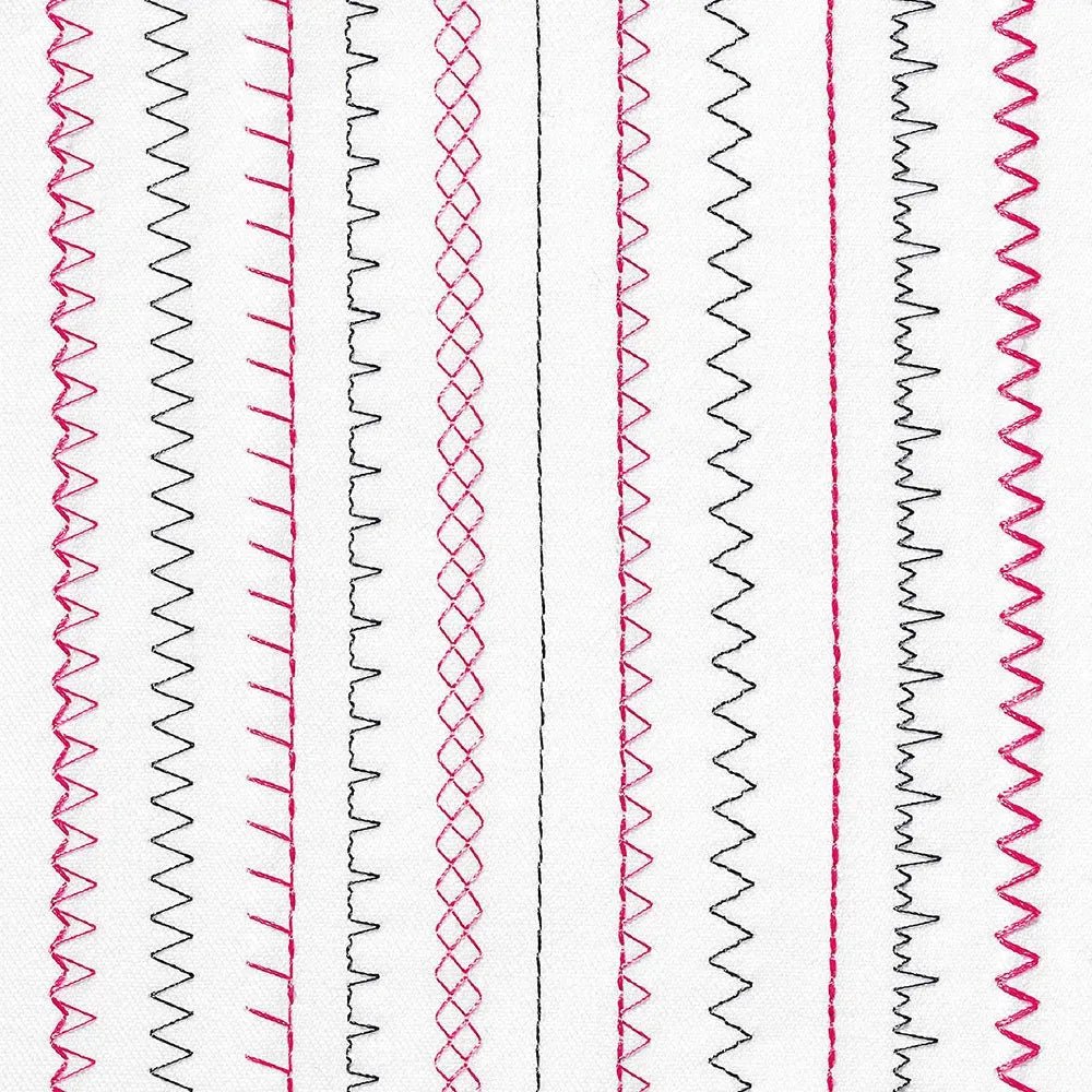 Machine à coudre ELNA Sew Zebra