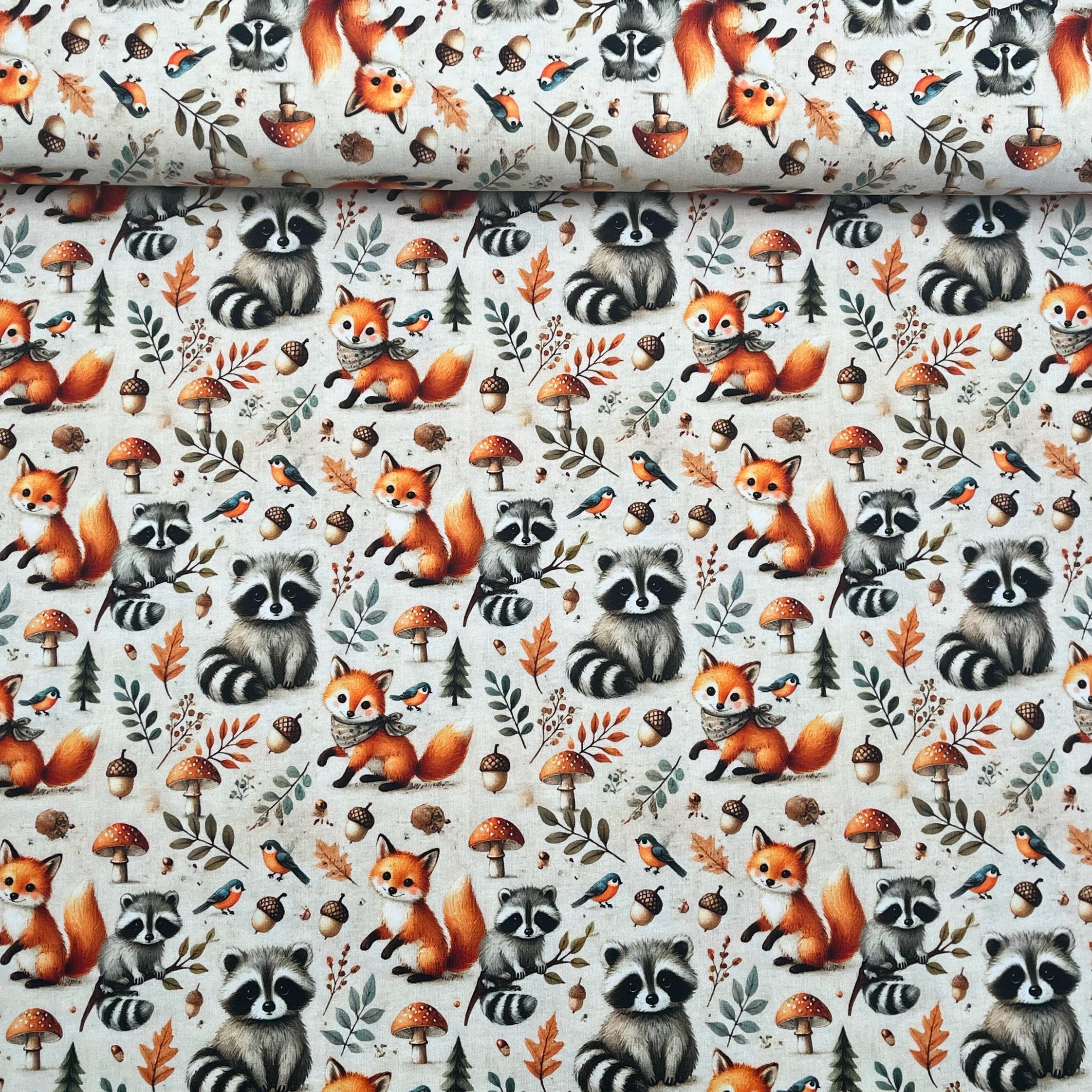 Tissu Jersey de Coton Renard et Raton laveur