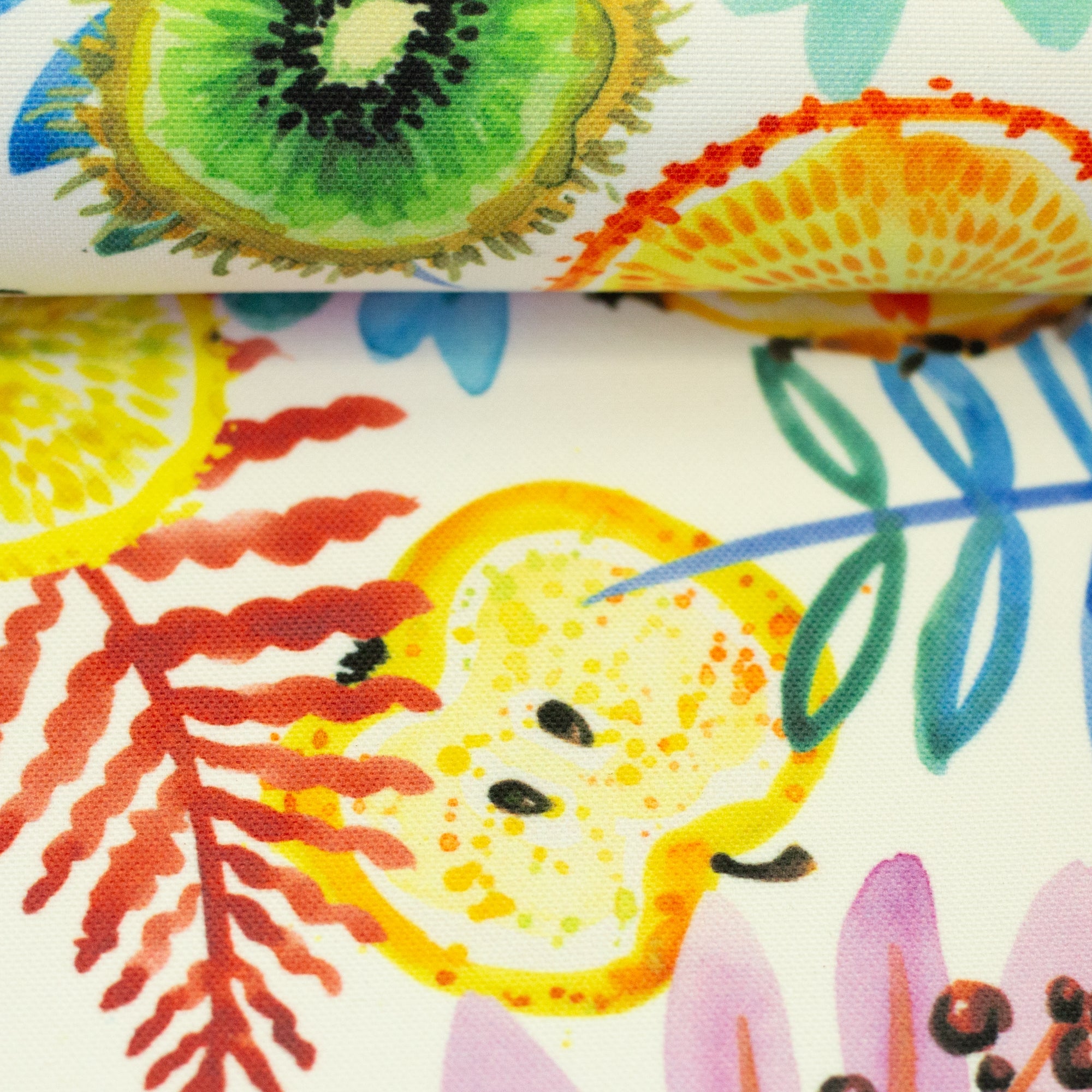 Tissu Canvas Coton Fruits
