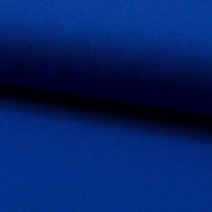 Tissu Canvas Bleu Rois