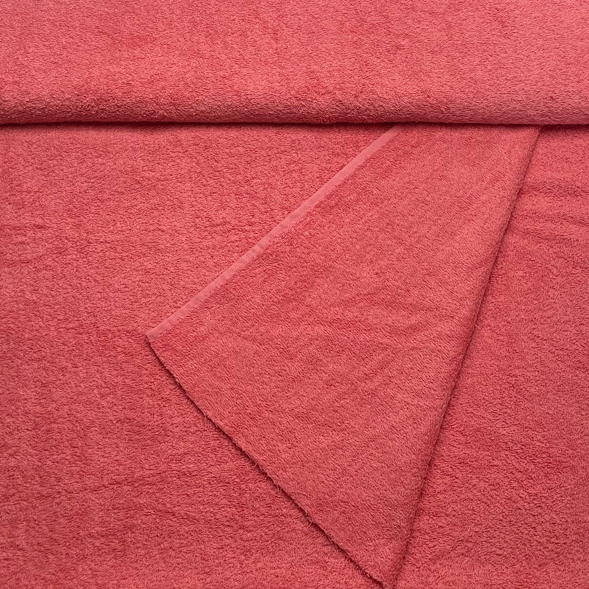 eponge_corail