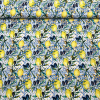 Tissu French Terry Citron