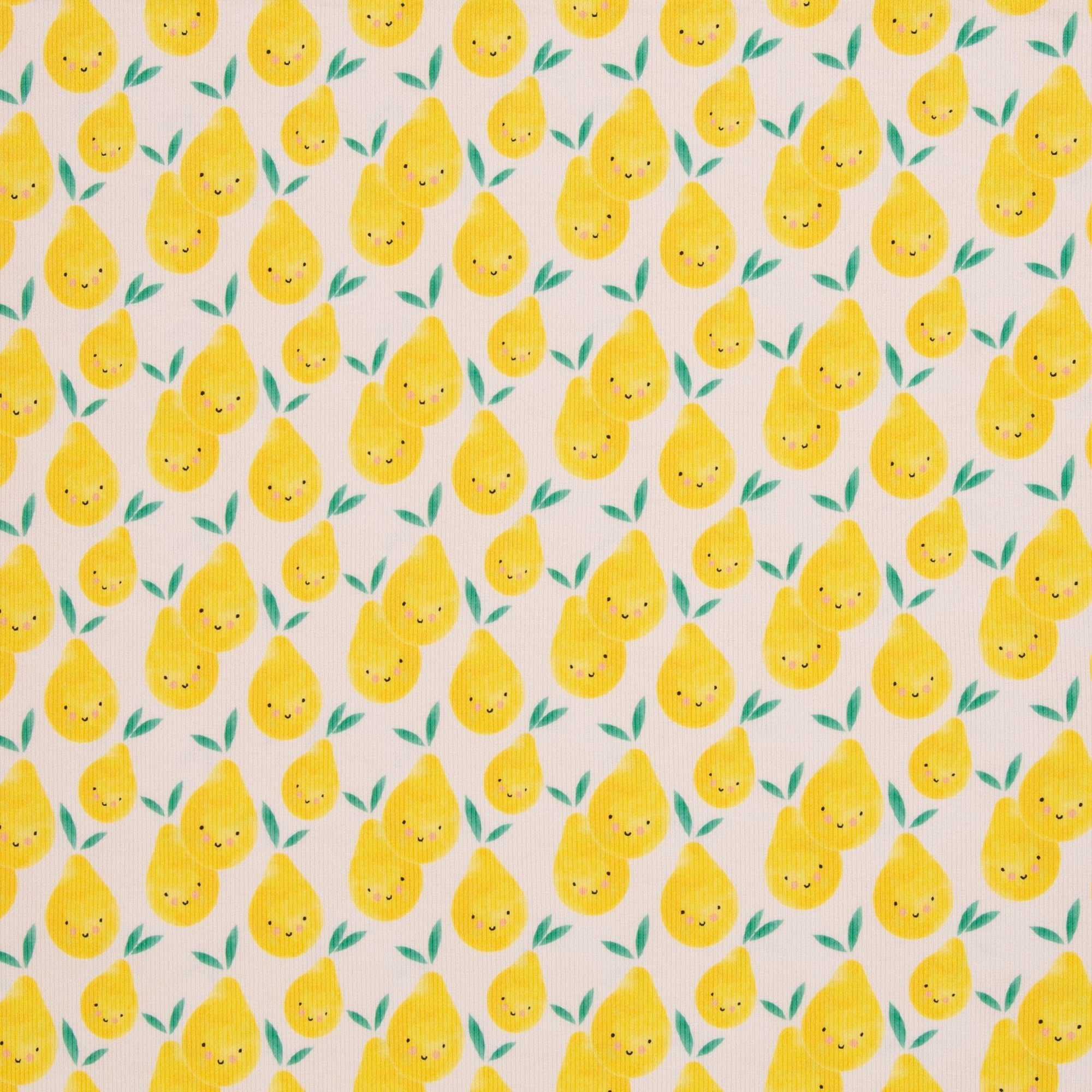 Tissu Jersey Coton Rib Poire