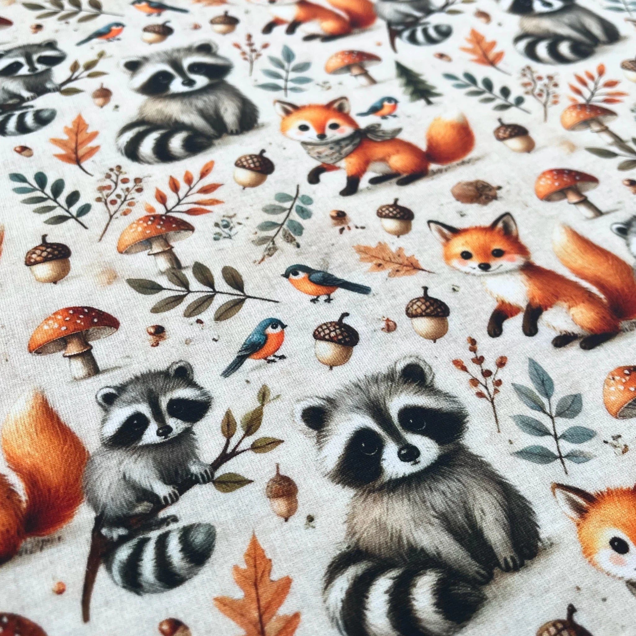 Tissu Jersey de Coton Renard et Raton laveur