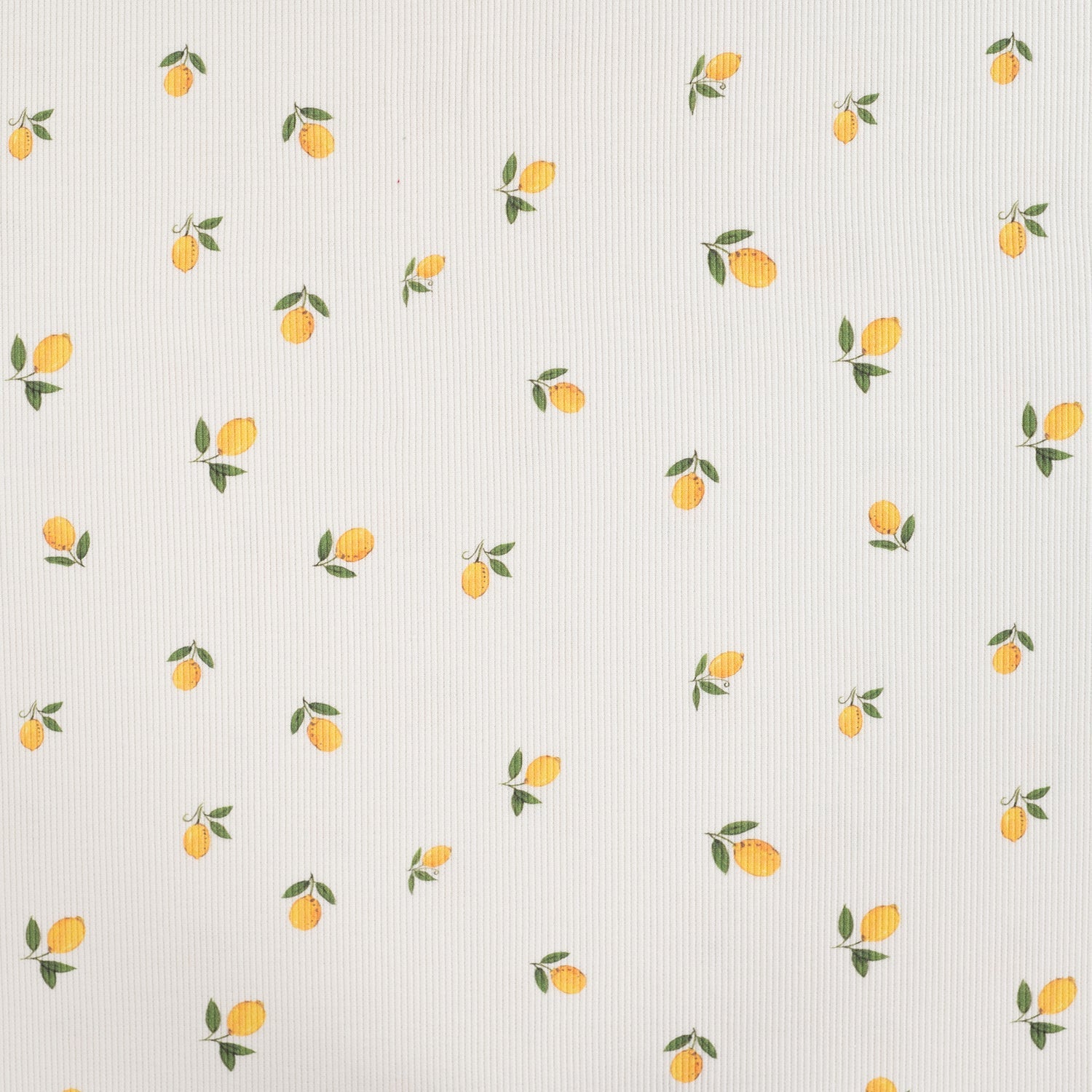 Tissu Jersey Rib de Citron