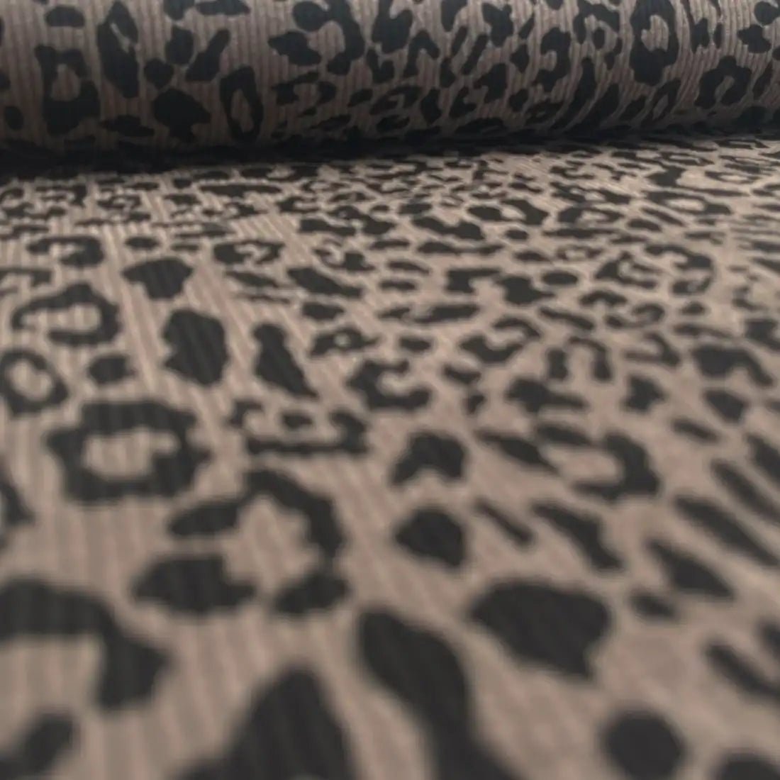 Tissu Léopard Beige en Velours