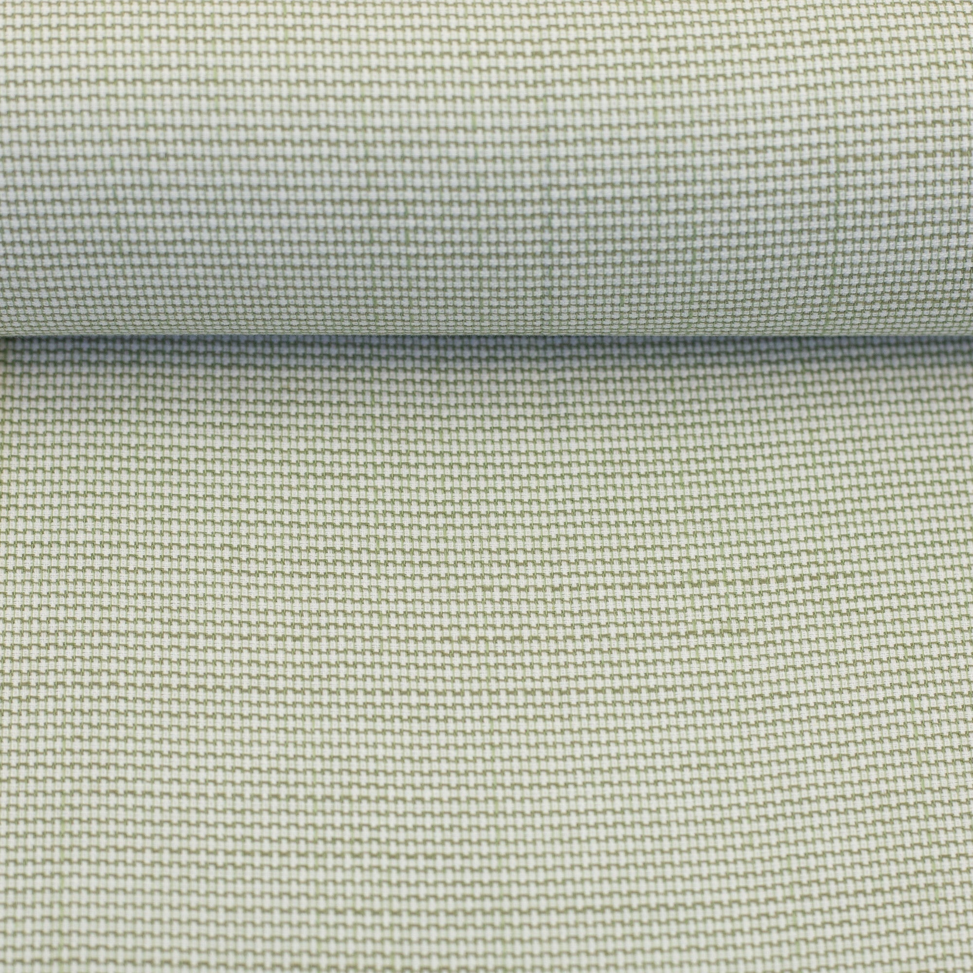 Tissu Pin point oxford vert