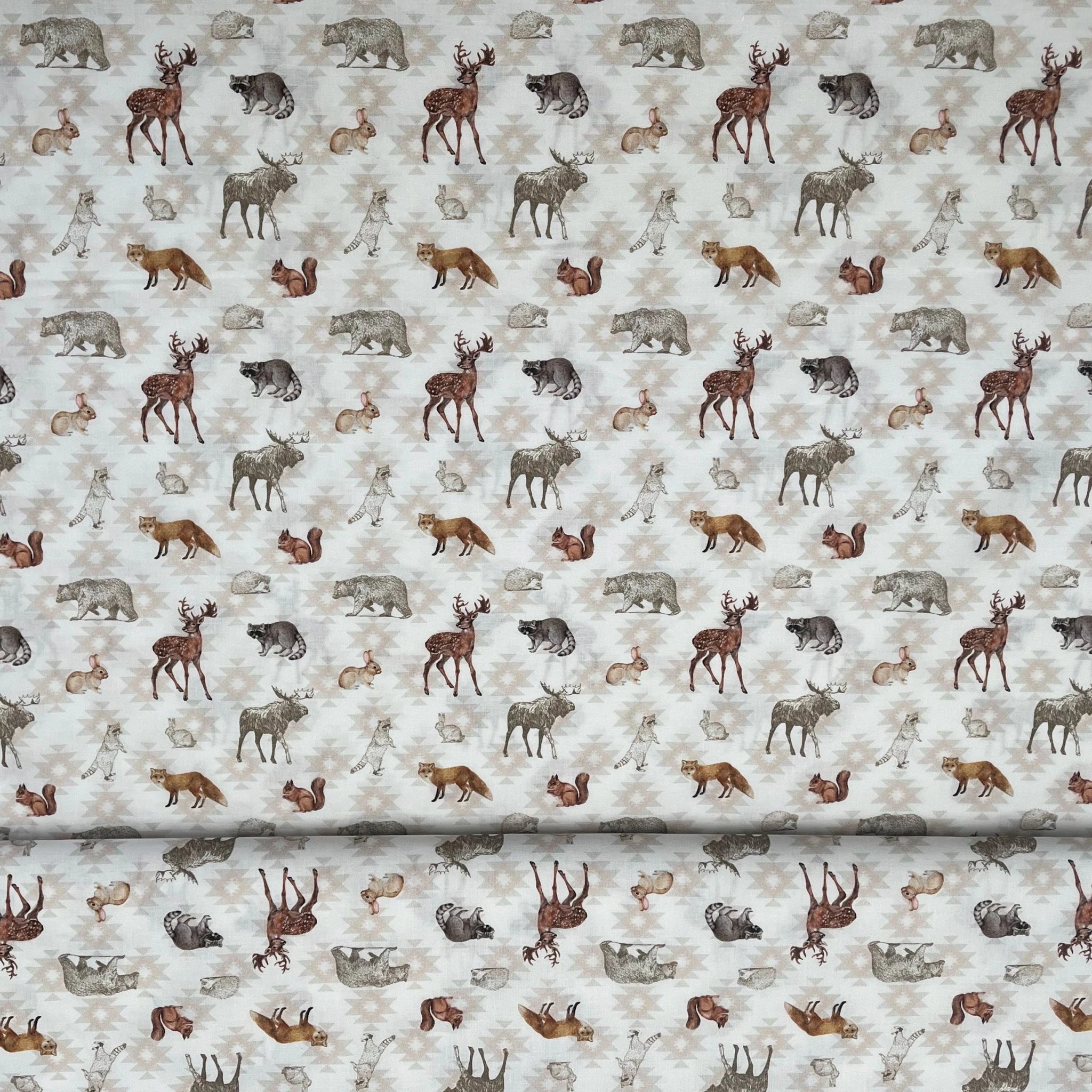 popeline animaux de la foret