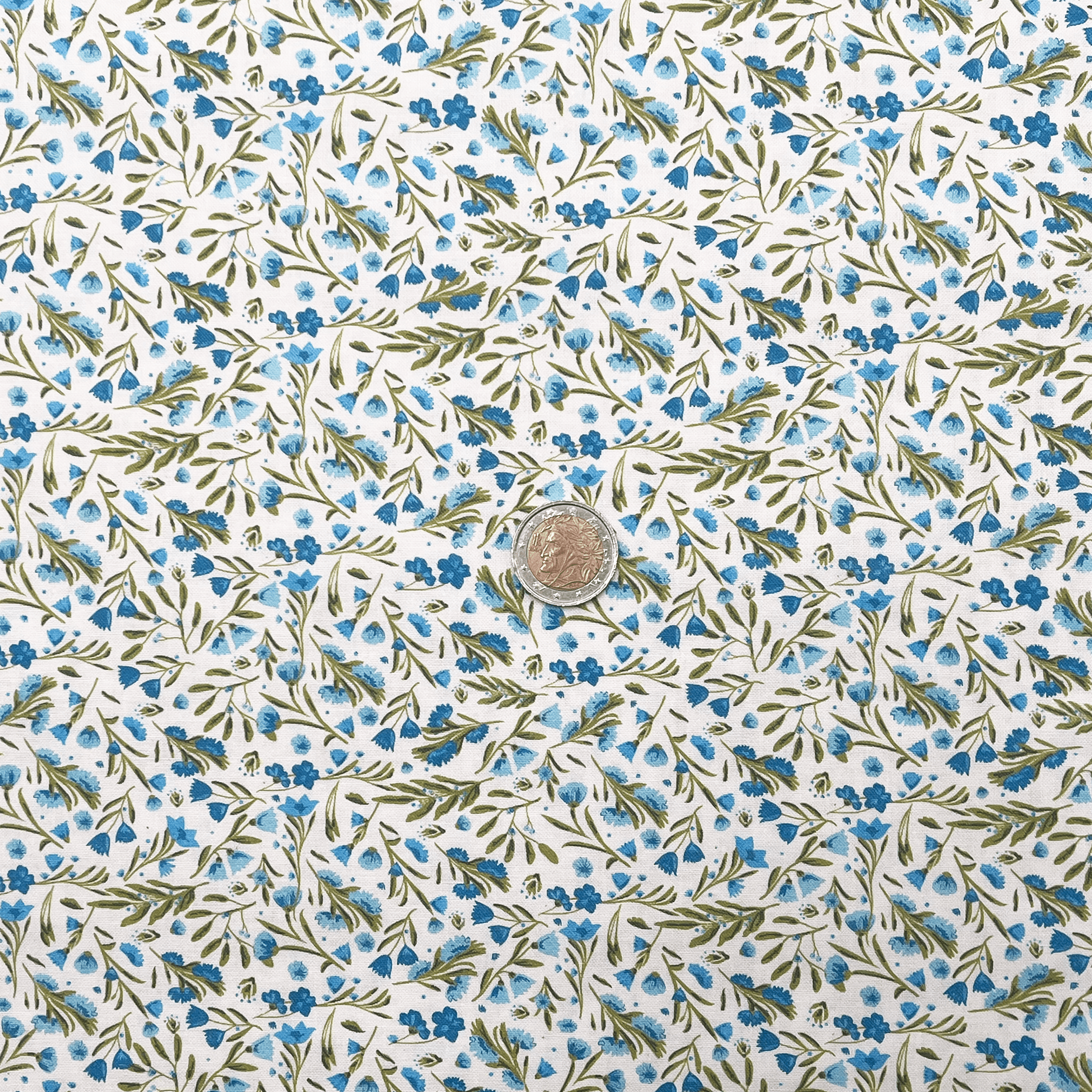 Tissu Popeline de coton fleurs de champs bleues
