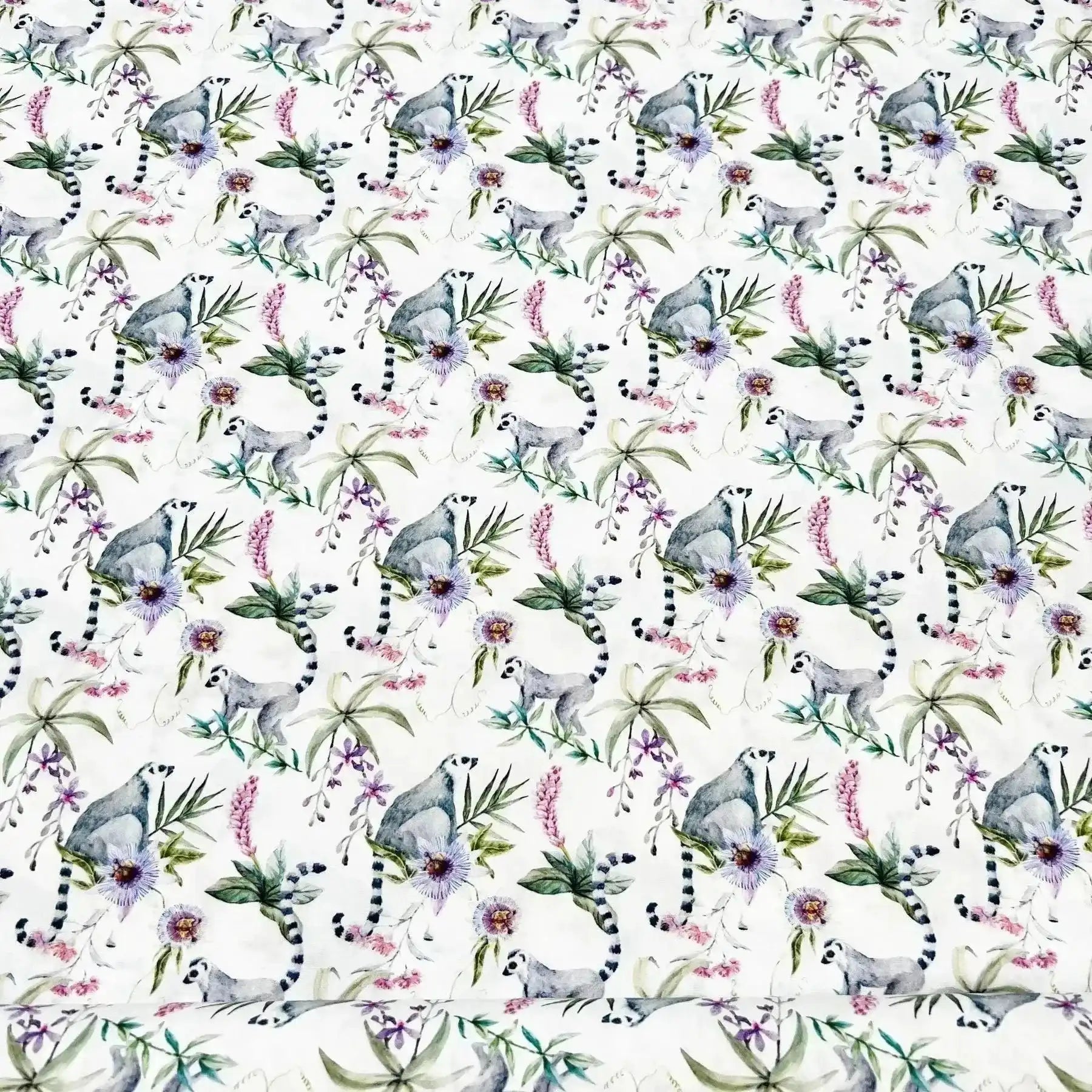 Tissu popeline de coton lémurien