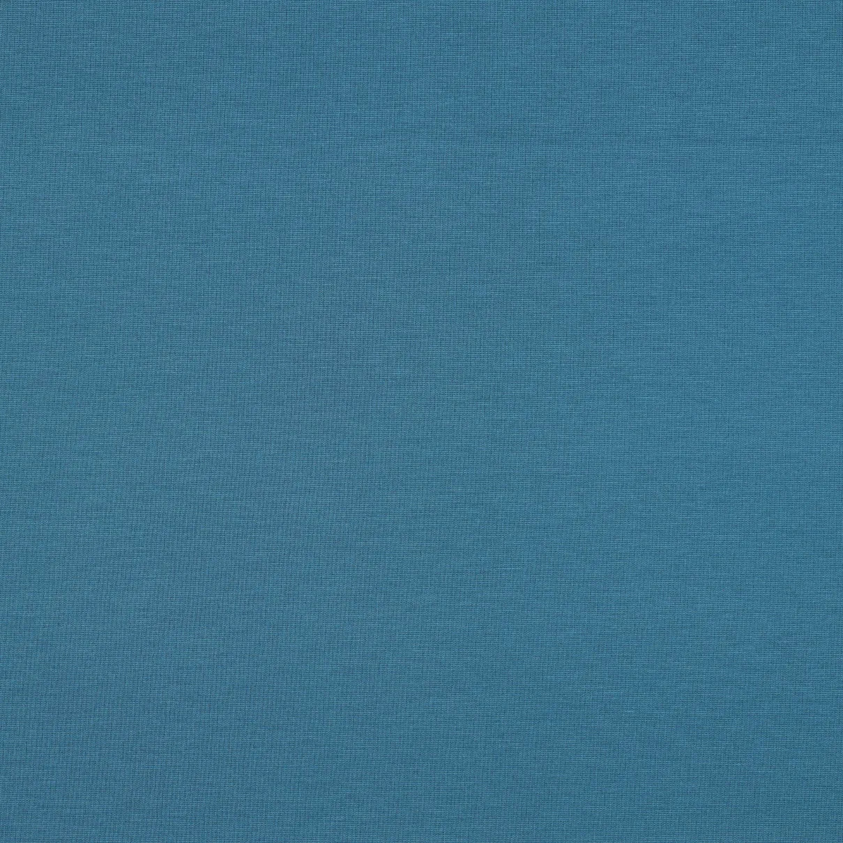 Tissus jersey punto bleu clair