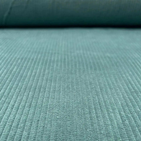 Tissus velours bleu claire
