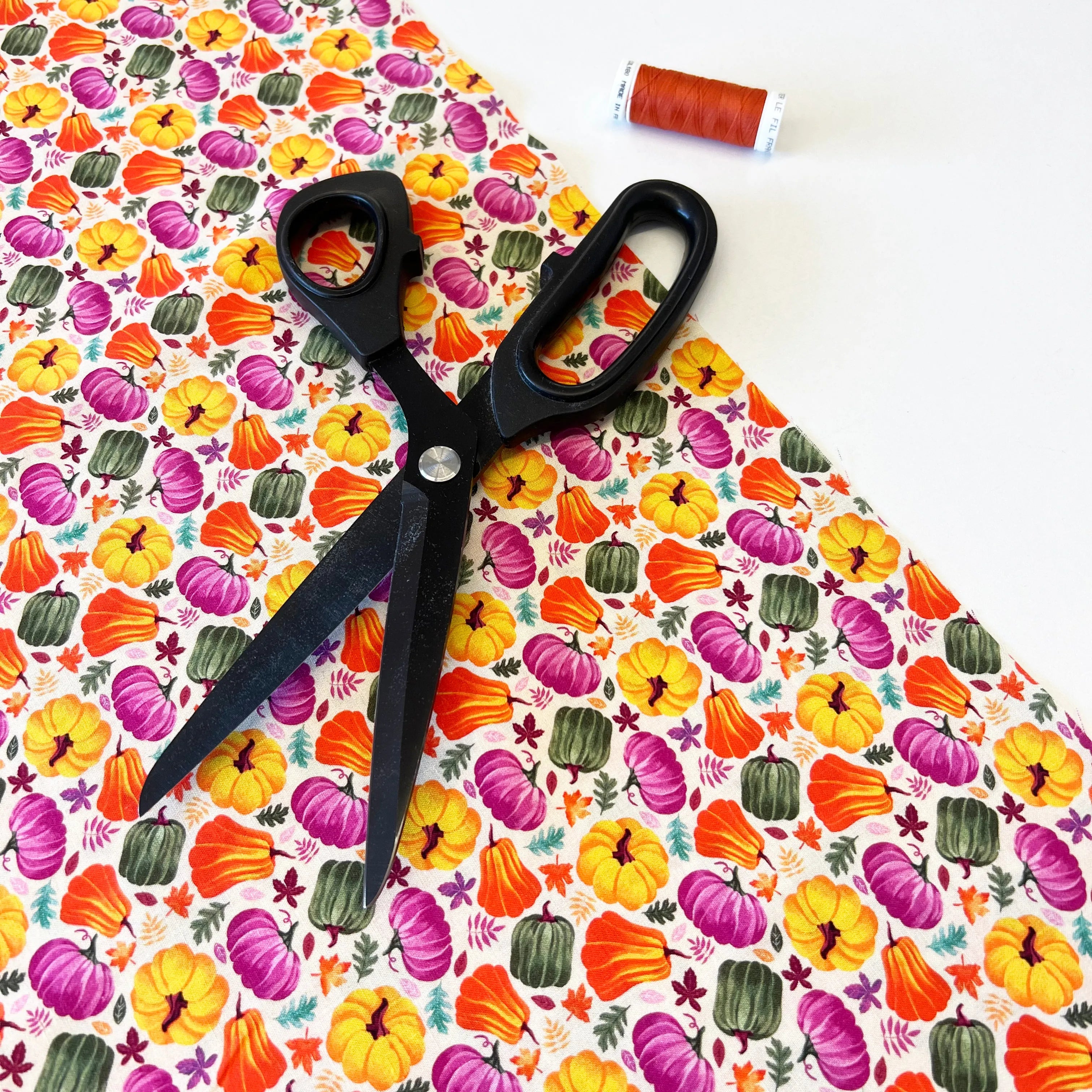 Sewing Class: Make your own Halloween Tote Bag (Parent-Child)